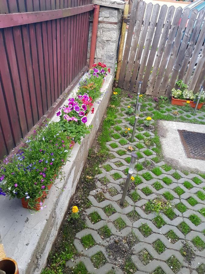 Vaso Apartament سِنايا المظهر الخارجي الصورة